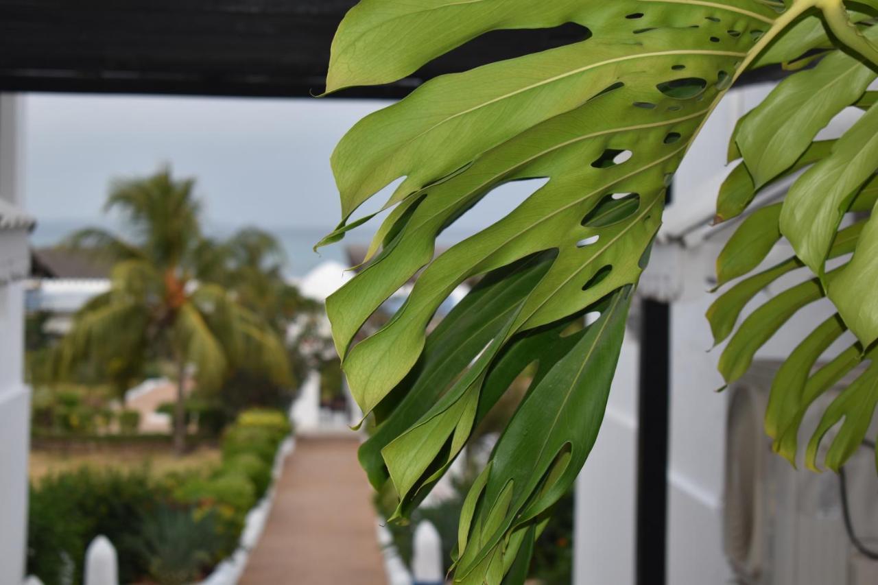 Kendwa Beach Resort Экстерьер фото